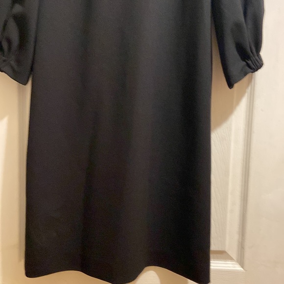 Tibi - Picture 3 of 13